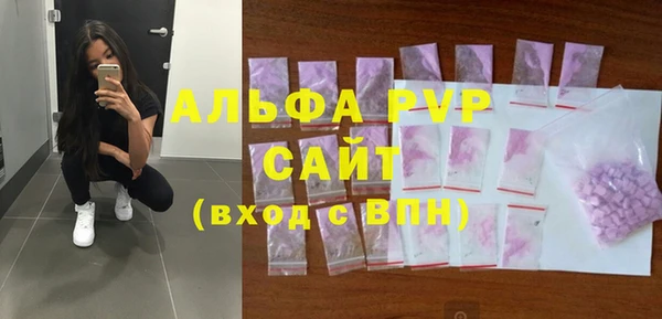 тгк Дмитриев
