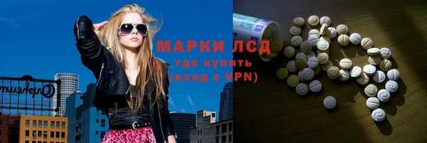 тгк Дмитриев