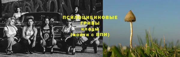мескалин Елабуга