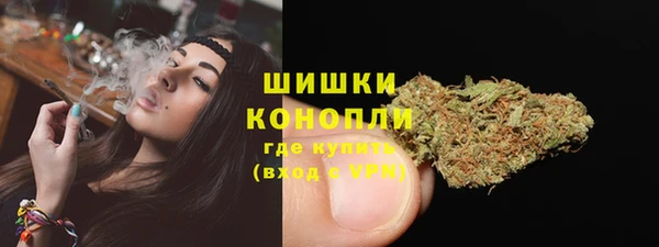 apvp Дмитров