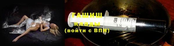 тгк Дмитриев