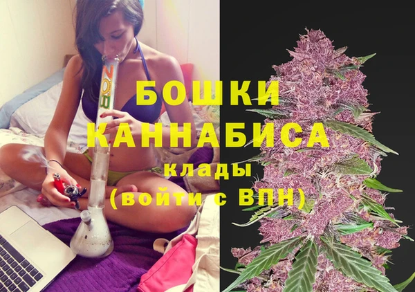 сатива Гусиноозёрск
