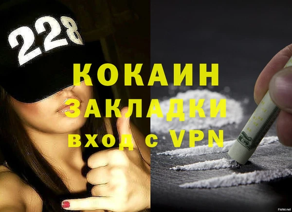 тгк Дмитриев
