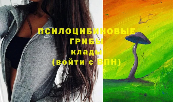тгк Дмитриев