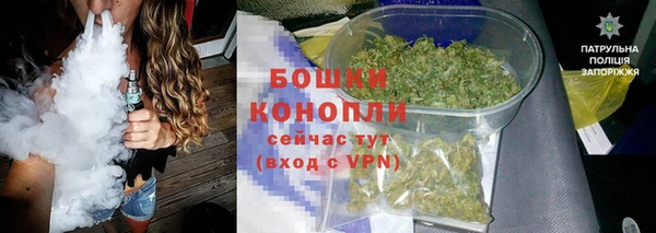 тгк Дмитриев