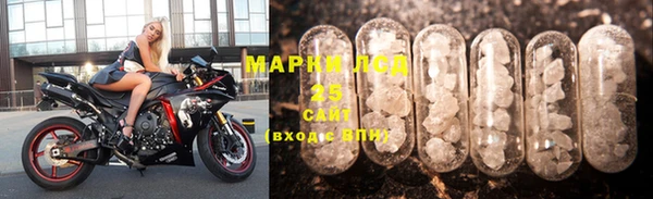 тгк Дмитриев
