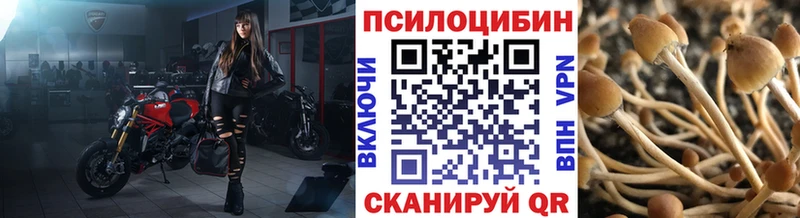 купить   Каргополь  Галлюциногенные грибы мицелий 